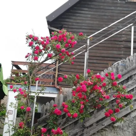 Baita Degli Dei San Benedetto Val di Sambro