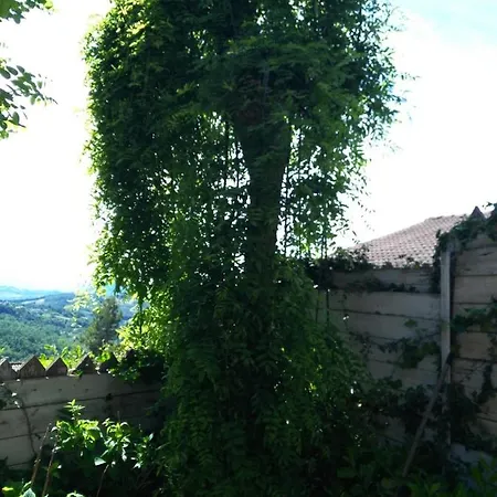 Baita Degli Dei Konukevi San Benedetto Val di Sambro
